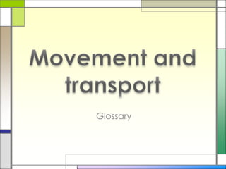 Movement and transport Glossary 