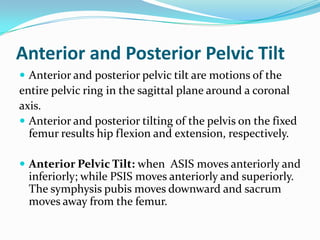 Anterior and Posterior Pelvic Tilt
 Anterior and posterior pelvic tilt are motions of the
entire pelvic ring in the sagittal plane around a coronal
axis.
 Anterior and posterior tilting of the pelvis on the fixed
femur results hip flexion and extension, respectively.
 Anterior Pelvic Tilt: when ASIS moves anteriorly and
inferiorly; while PSIS moves anteriorly and superiorly.
The symphysis pubis moves downward and sacrum
moves away from the femur.
 