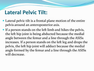 Lateral Pelvic Tilt:
 Lateral pelvic tilt is a frontal plane motion of the entire
pelvis around an anteroposterior axis.
 If a person stands on the left limb and hikes the pelvis,
the left hip joint is being abducted because the medial
angle between the femur and a line through the ASISs
increases. If a person stands on the left leg and drops the
pelvis, the left hip joint will adduct because the medial
angle formed by the femur and a line through the ASISs
will decrease.
 
