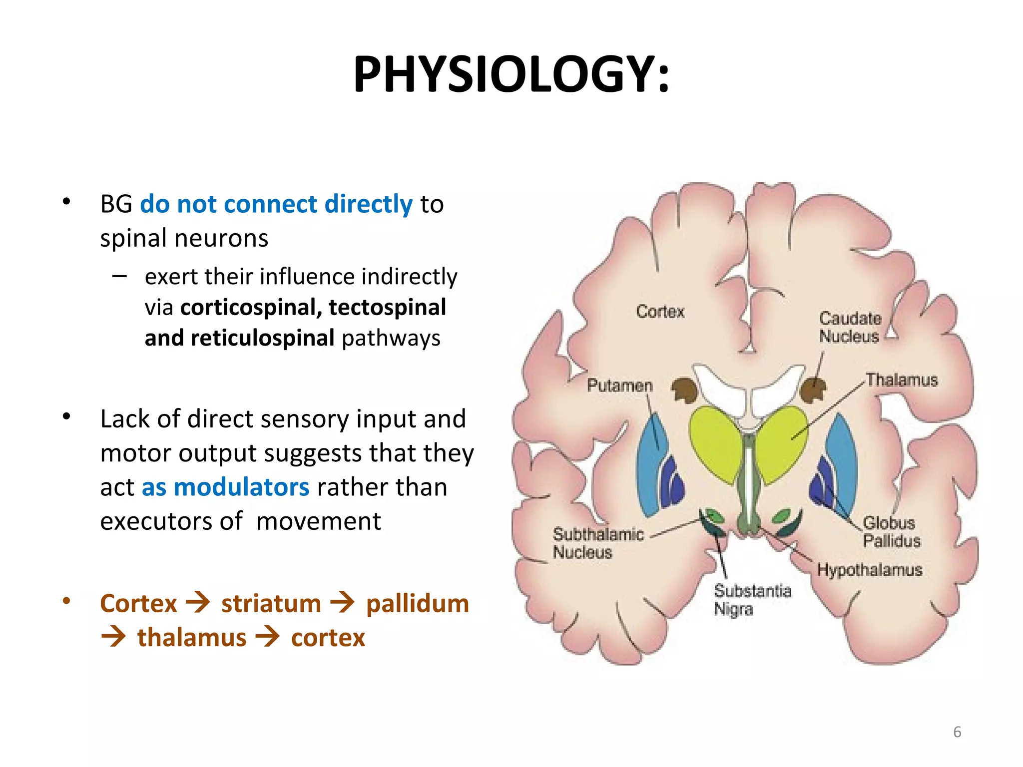 PHYSIOLOGY:
• BG do not connect directly to
spinal neurons
– exert their influence indirectly
via corticospinal, tectospinal
and reticulospinal pathways
• Lack of direct sensory input and
motor output suggests that they
act as modulators rather than
executors of movement
• Cortex  striatum  pallidum
 thalamus  cortex
6
 
