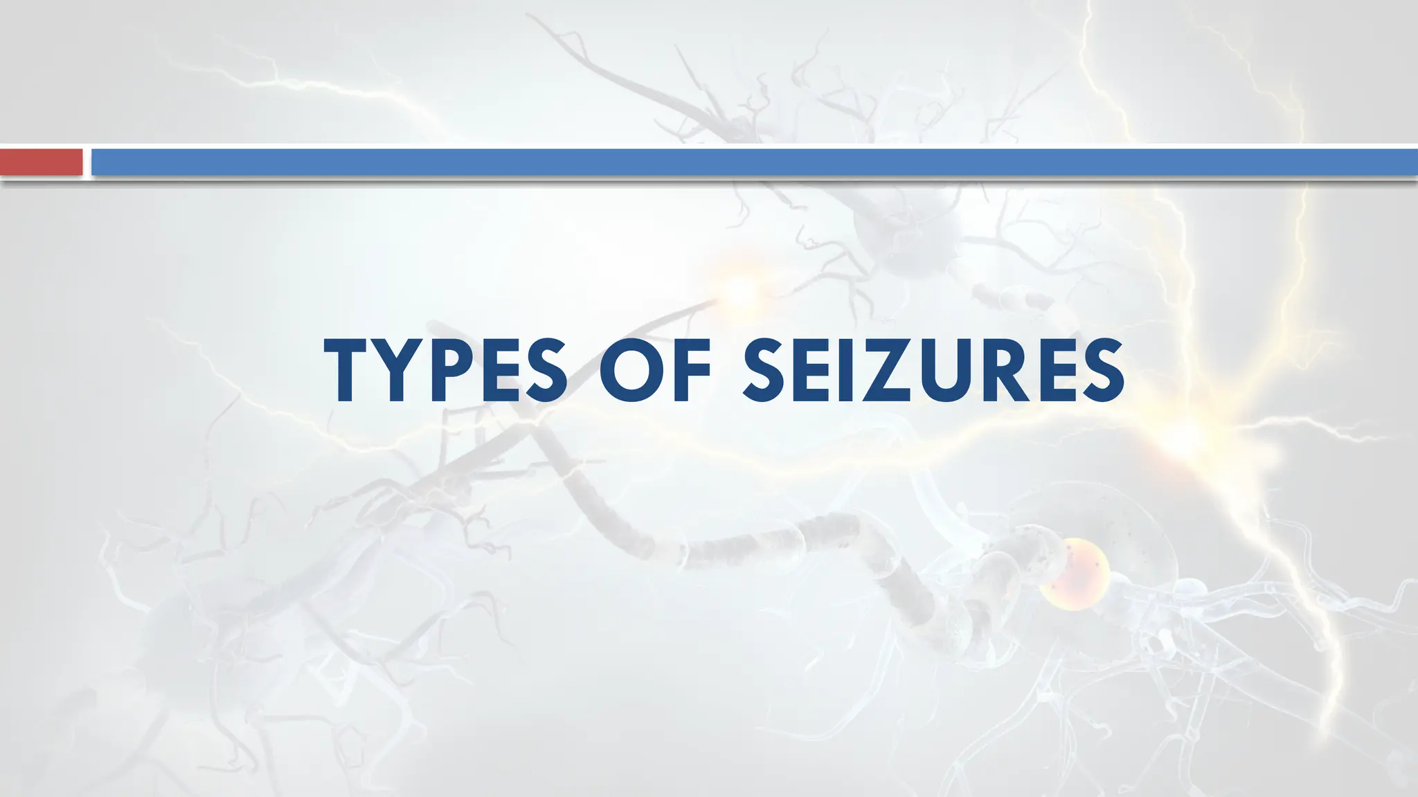 TYPES OF SEIZURES
 