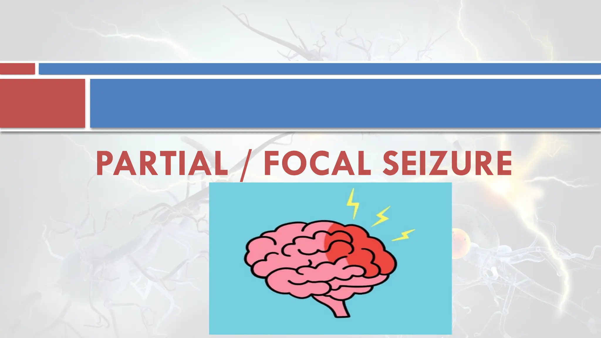 PARTIAL / FOCAL SEIZURE
 