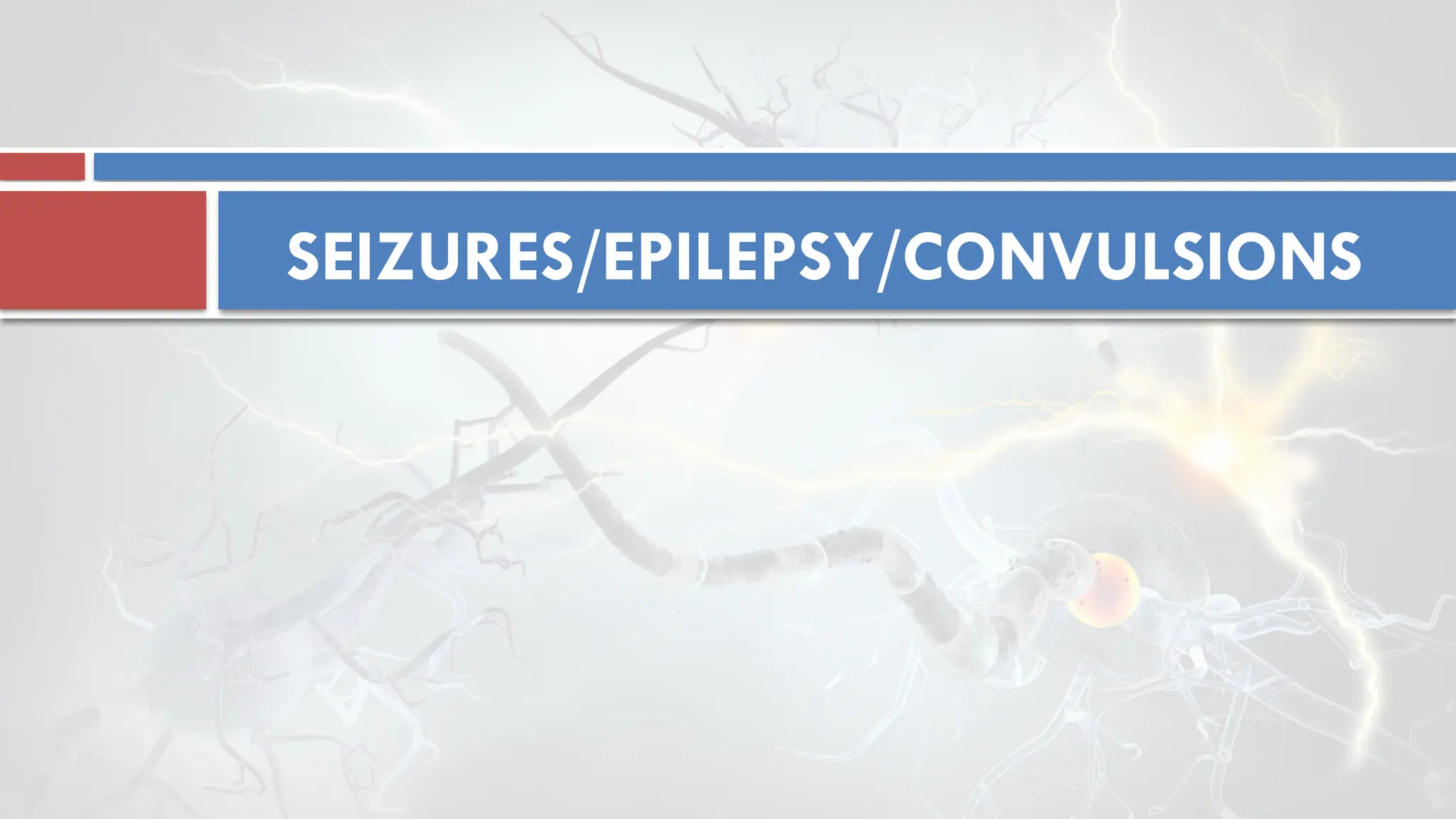 SEIZURES/EPILEPSY/CONVULSIONS
 