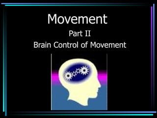 Movement Part II Brain Control of Movement 
