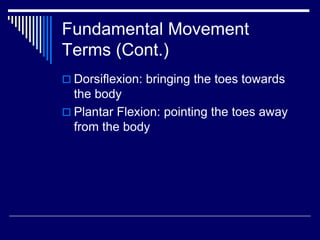 Fundamental Movement
Terms (Cont.)
 Dorsiflexion: bringing the toes towards
the body
 Plantar Flexion: pointing the toes away
from the body
 