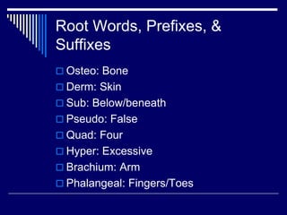 Root Words, Prefixes, &
Suffixes
 Osteo: Bone
 Derm: Skin
 Sub: Below/beneath
 Pseudo: False
 Quad: Four
 Hyper: Excessive
 Brachium: Arm
 Phalangeal: Fingers/Toes
 
