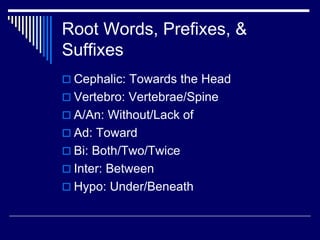 Root Words, Prefixes, &
Suffixes
 Cephalic: Towards the Head
 Vertebro: Vertebrae/Spine
 A/An: Without/Lack of
 Ad: Toward
 Bi: Both/Two/Twice
 Inter: Between
 Hypo: Under/Beneath
 