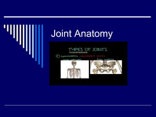 Joint Anatomy
 