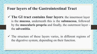 Four layers of the Gastrointestinal Tract
 The GI tract contains four layers: the innermost layer
is the mucosa, underneath this is the submucosa, followed
by the muscularis propria and finally, the outermost layer -
the adventitia.
 The structure of these layers varies, in different regions of
the digestive system, depending on their function.
 