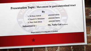 Movement in gastrointestinal tract