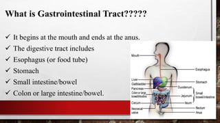 What is Gastrointestinal Tract?????
 It begins at the mouth and ends at the anus.
 The digestive tract includes
 Esophagus (or food tube)
 Stomach
 Small intestine/bowel
 Colon or large intestine/bowel.
 
