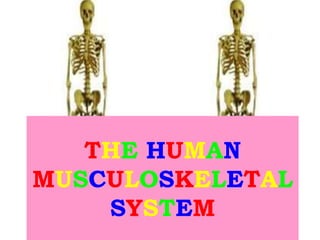 THE HUMAN
MUSCULOSKELETAL
    SYSTEM
 