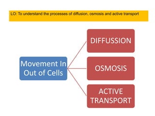 Movement in & Out Cell.ppt
