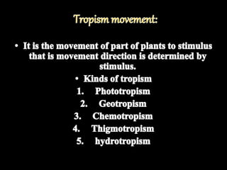 Movement Plant Example Movement in plants | PPTX
