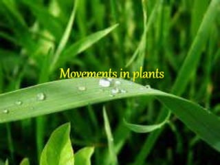 Movements in plants
 