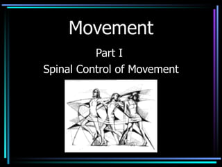 Movement Part I  Spinal Control of Movement 