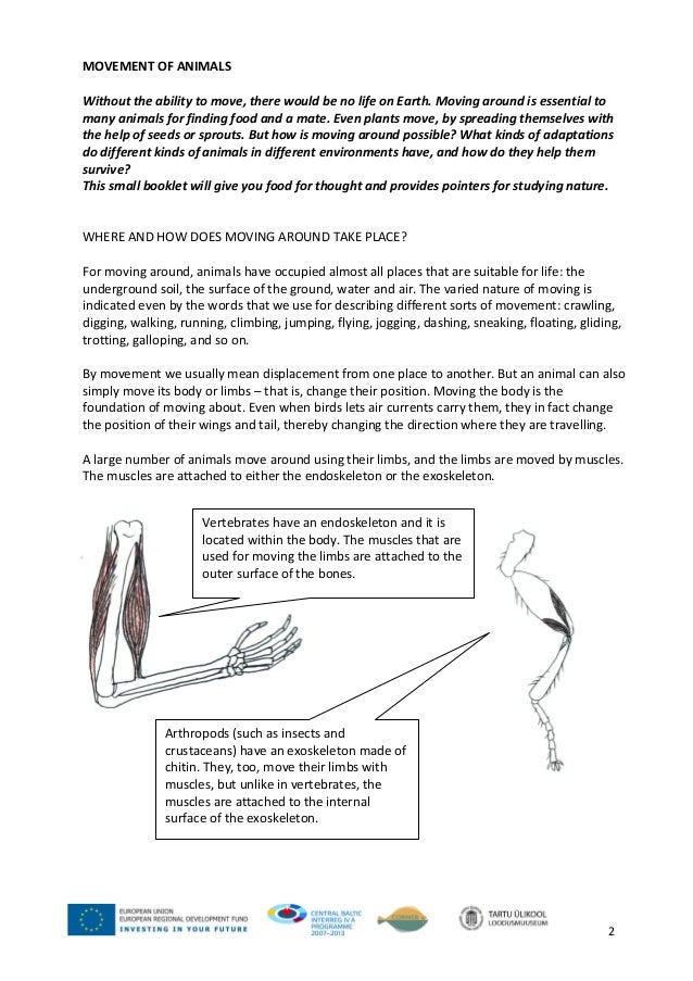 Movement Of Animals 1 Movement Of Animals 1