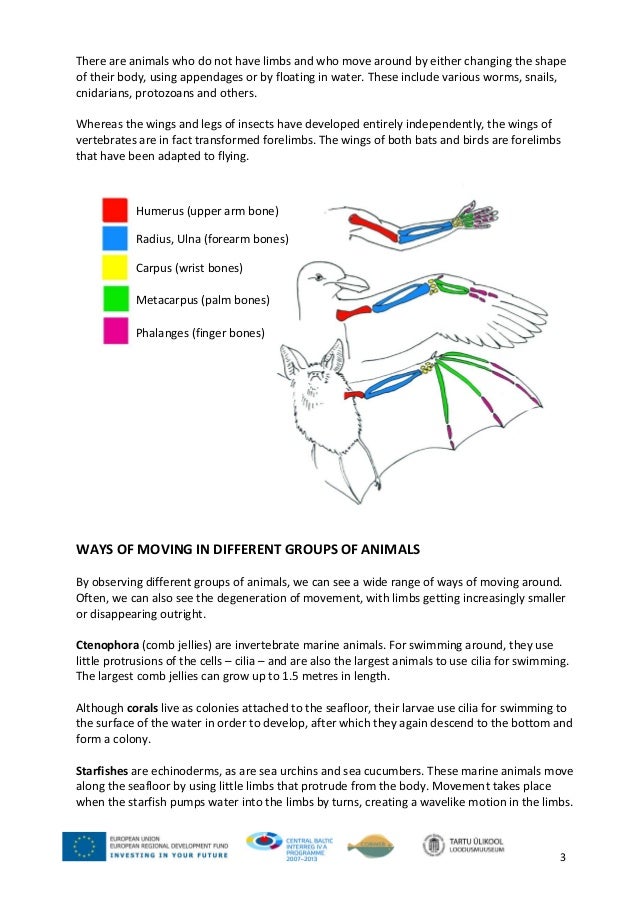Movement of animals_1_