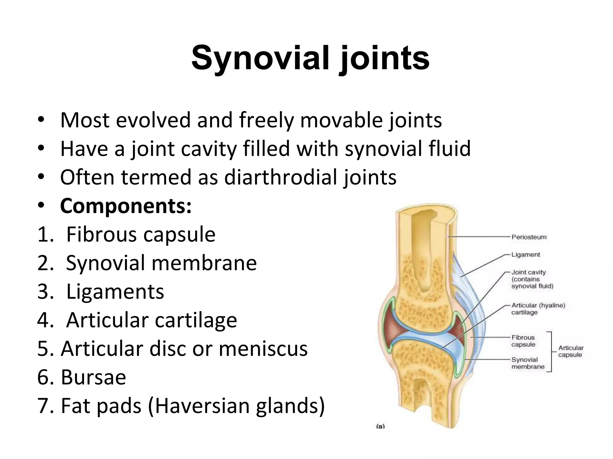 Synovial joints
• Most evolved and freely movable joints
• Have a joint cavity filled with synovial fluid
• Often termed as diarthrodial joints
• Components:
1. Fibrous capsule
2. Synovial membrane
3. Ligaments
4. Articular cartilage
5. Articular disc or meniscus
6. Bursae
7. Fat pads (Haversian glands)
 