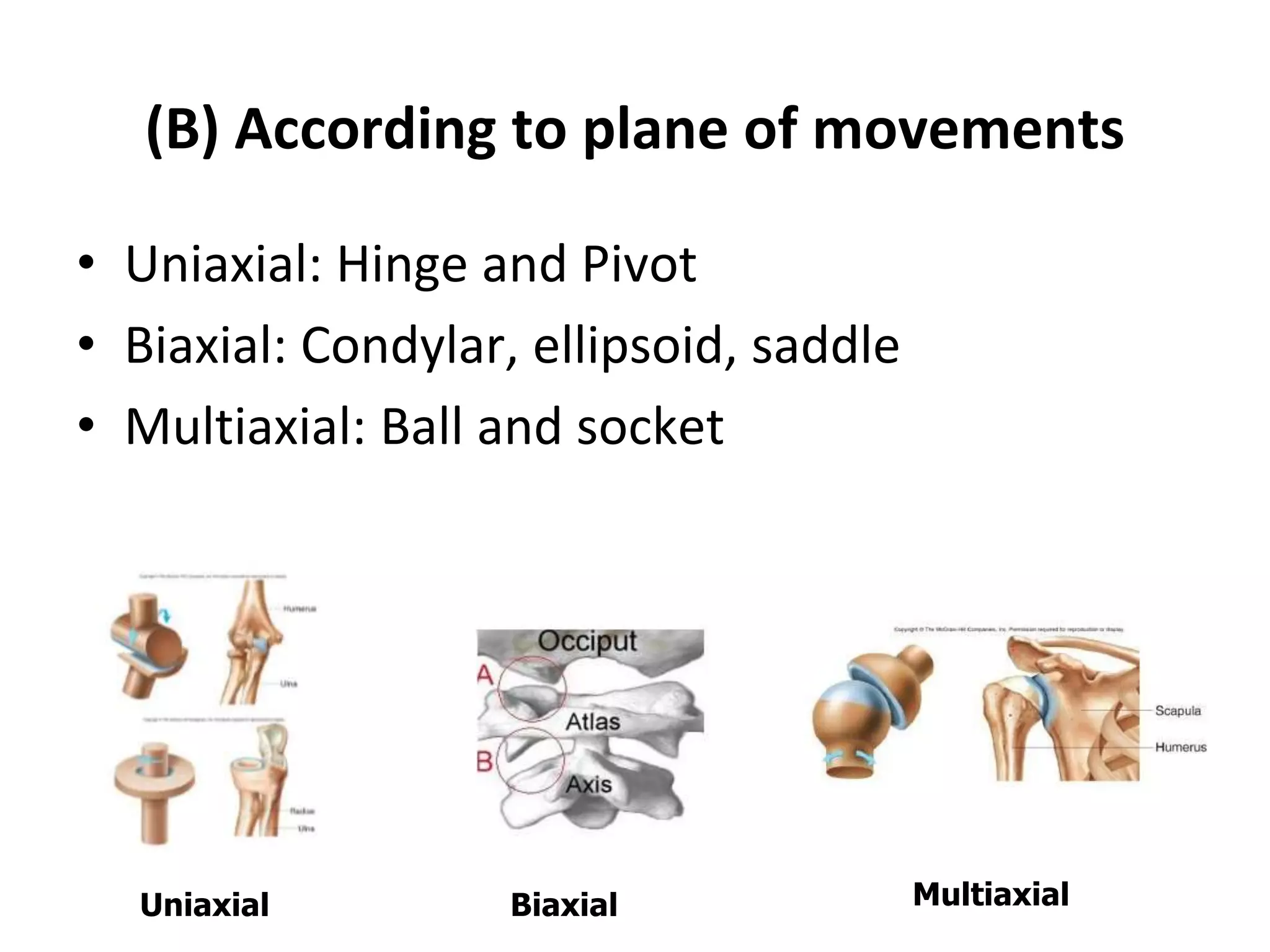 (B) According to plane of movements
• Uniaxial: Hinge and Pivot
• Biaxial: Condylar, ellipsoid, saddle
• Multiaxial: Ball and socket
Uniaxial Biaxial Multiaxial
 