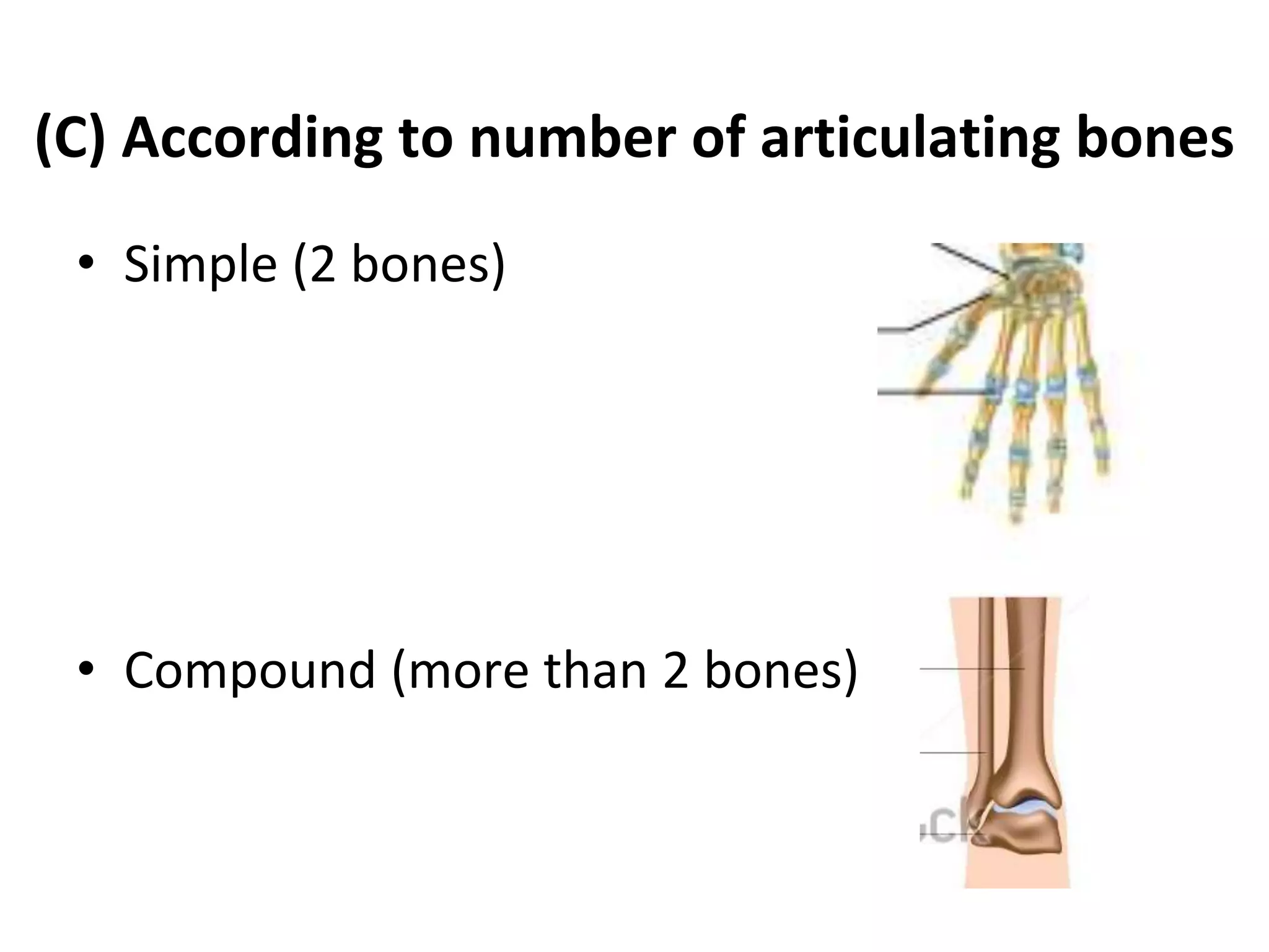 (C) According to number of articulating bones
• Simple (2 bones)
• Compound (more than 2 bones)
 