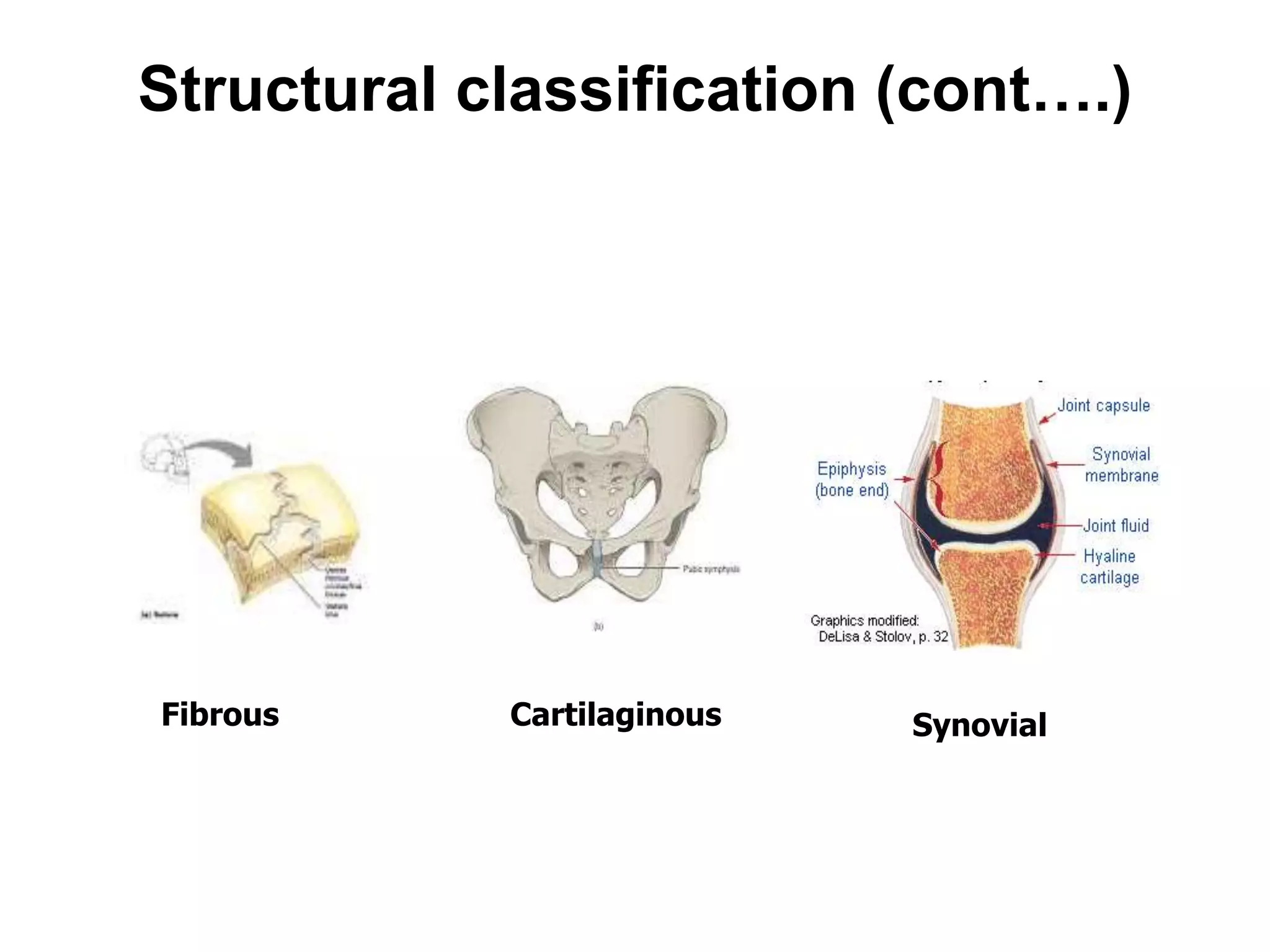 Structural classification (cont….)
Fibrous Cartilaginous Synovial
 