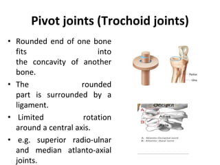 Pivot joints (Trochoid joints)
• Rounded end of one bone
fits into
the concavity of another
bone.
• The rounded
part is surrounded by a
ligament.
• Limited rotation
around a central axis.
• e.g. superior radio-ulnar
and median atlanto-axial
joints.
 