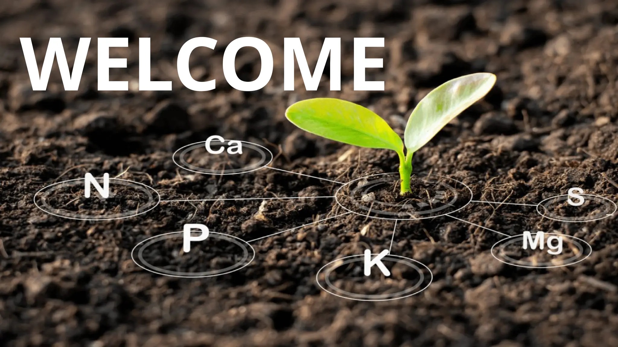 Movement of nutrients in soil or nutrient transformation in soil.pptx