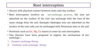 Movement of nutrients in soil or nutrient transformation in soil.pptx