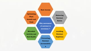 Movement of nutrients in soil or nutrient transformation in soil.pptx