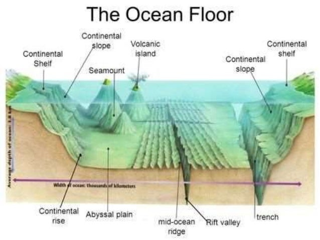 Ocean Rift Diagram Automotive Wiring Diagrams