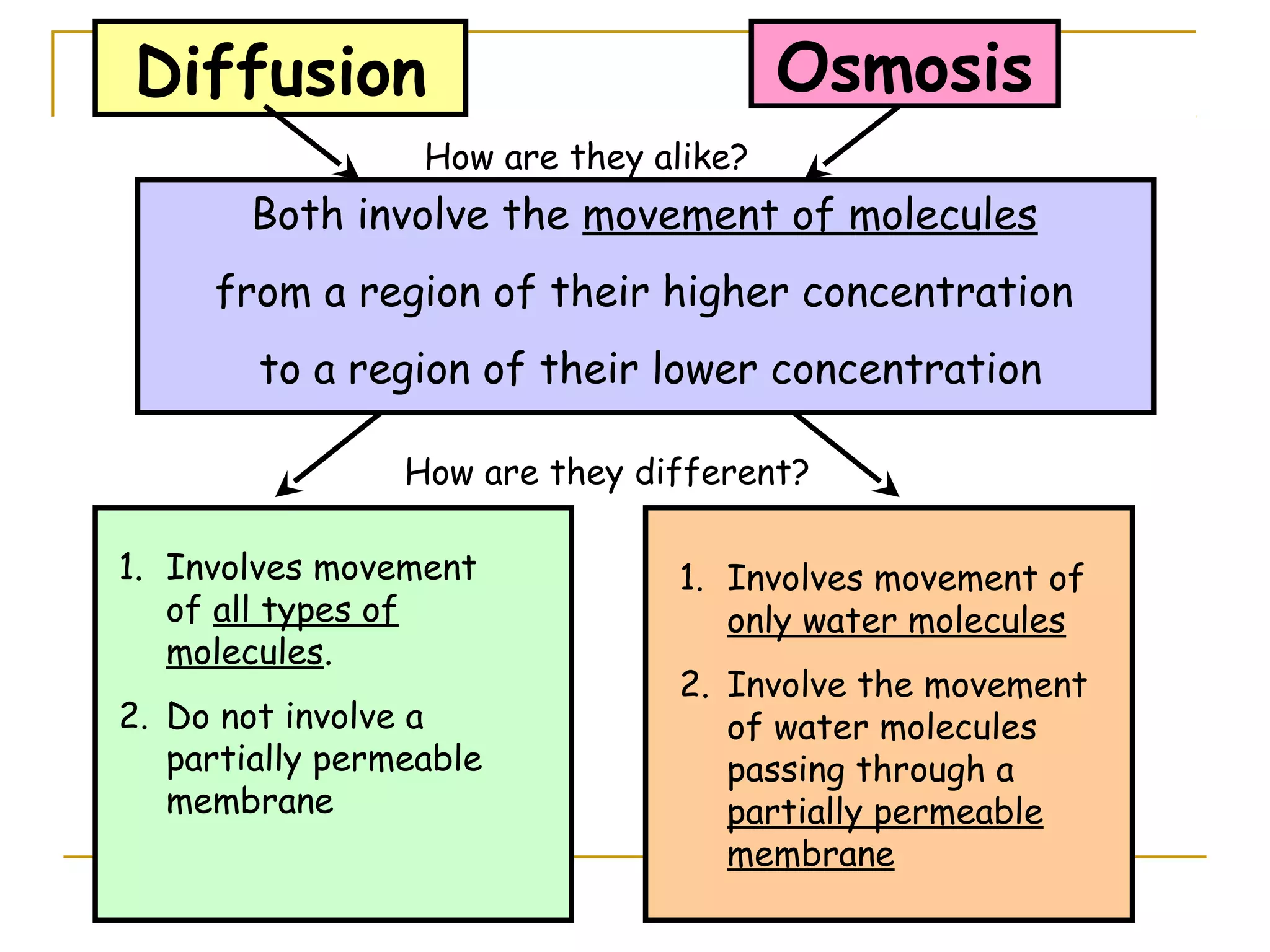 Diffusion                               Osmosis
                  How are they alike?
        Both involve the movement of molecules
     from a region of their higher concentration
        to a region of their lower concentration

                 How are they different?

1. Involves movement            1. Involves movement of
   of all types of                 only water molecules
   molecules.
                                2. Involve the movement
2. Do not involve a                of water molecules
   partially permeable             passing through a
   membrane                        partially permeable
                                   membrane
 
