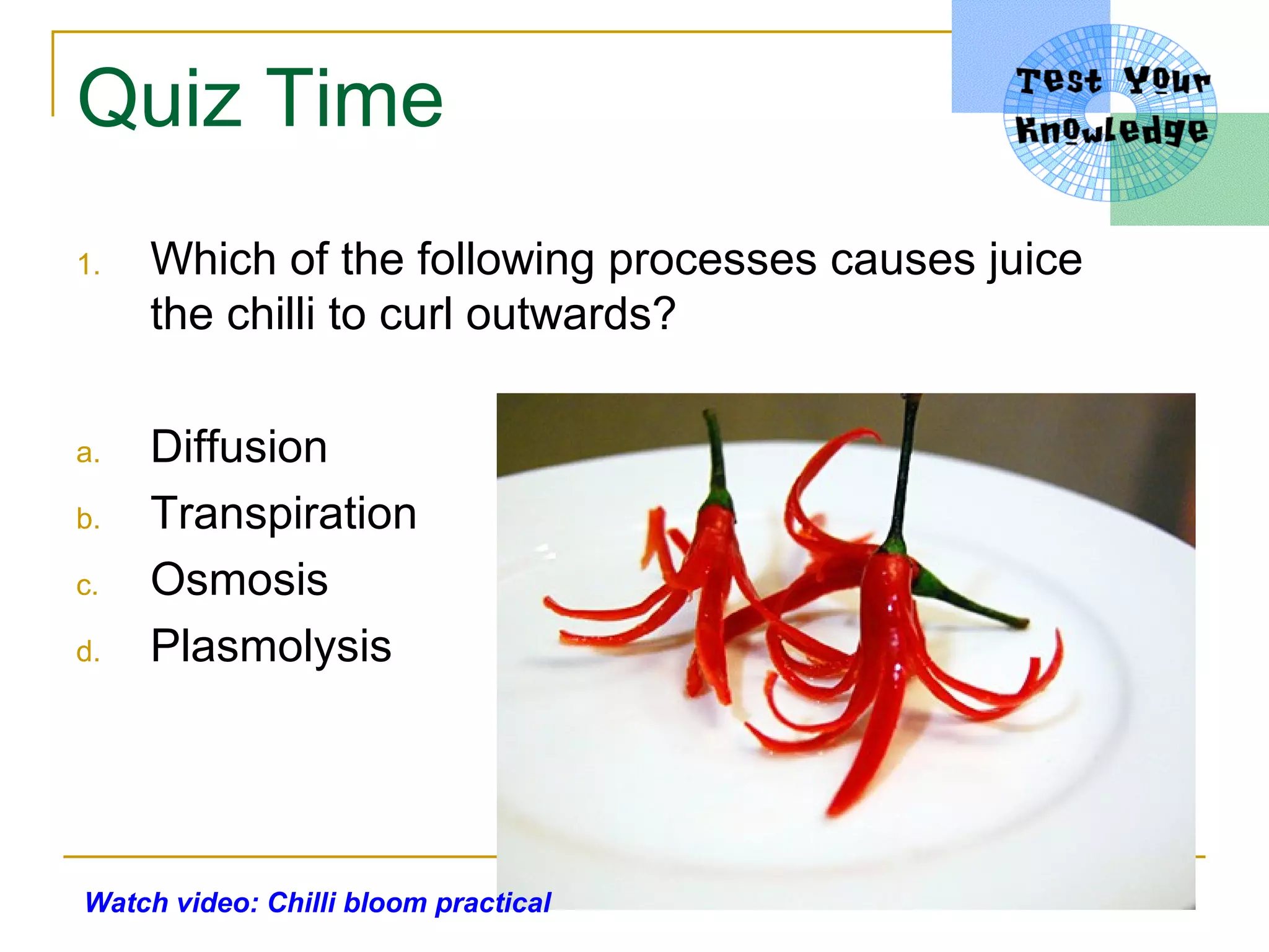 Quiz Time
1.   Which of the following processes causes juice
     the chilli to curl outwards?

a.   Diffusion
b.   Transpiration
c.   Osmosis
d.   Plasmolysis




Watch video: Chilli bloom practical
 