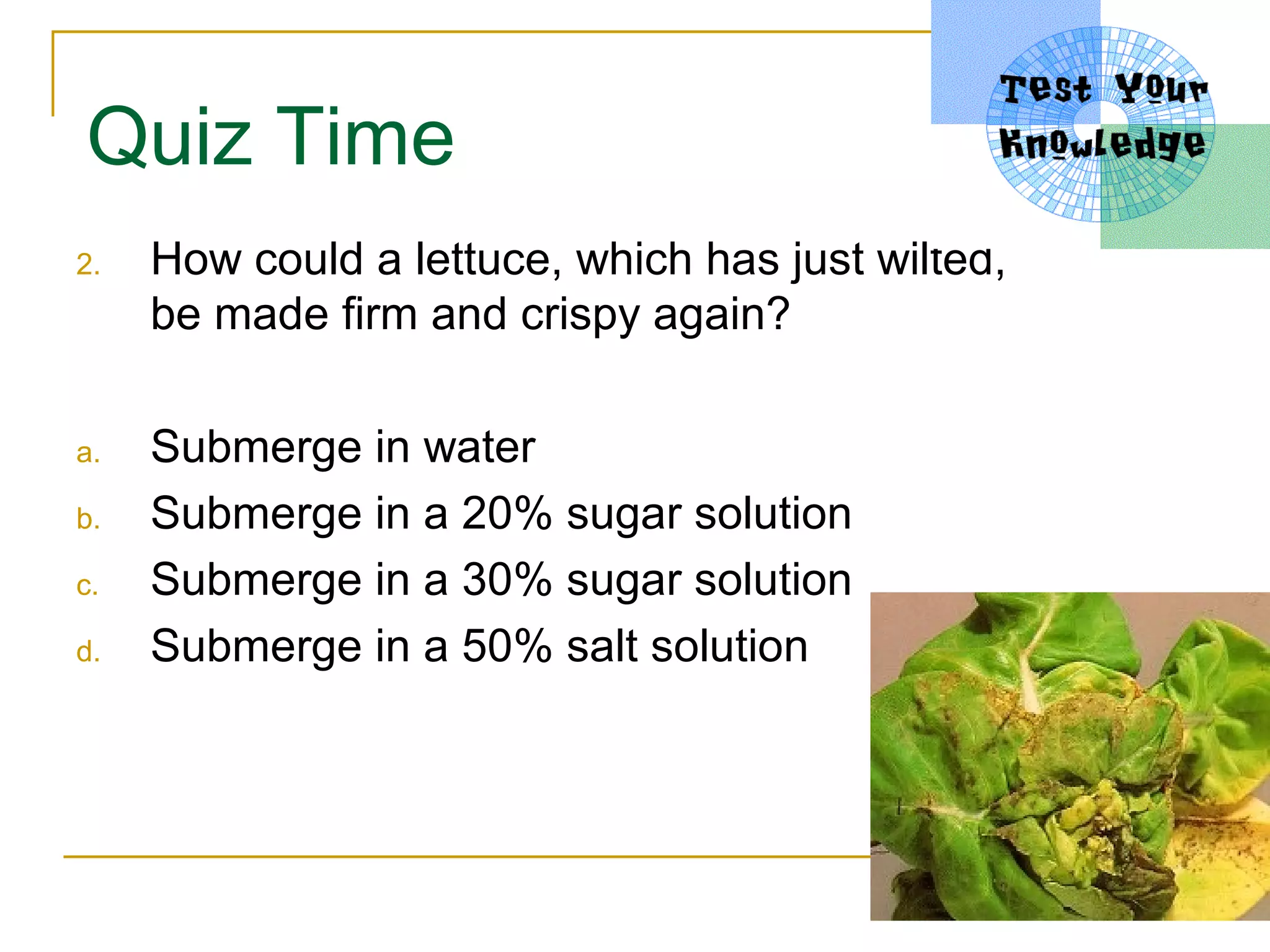 Quiz Time
2.   How could a lettuce, which has just wilted,
     be made firm and crispy again?

a.   Submerge in water
b.   Submerge in a 20% sugar solution
c.   Submerge in a 30% sugar solution
d.   Submerge in a 50% salt solution
 