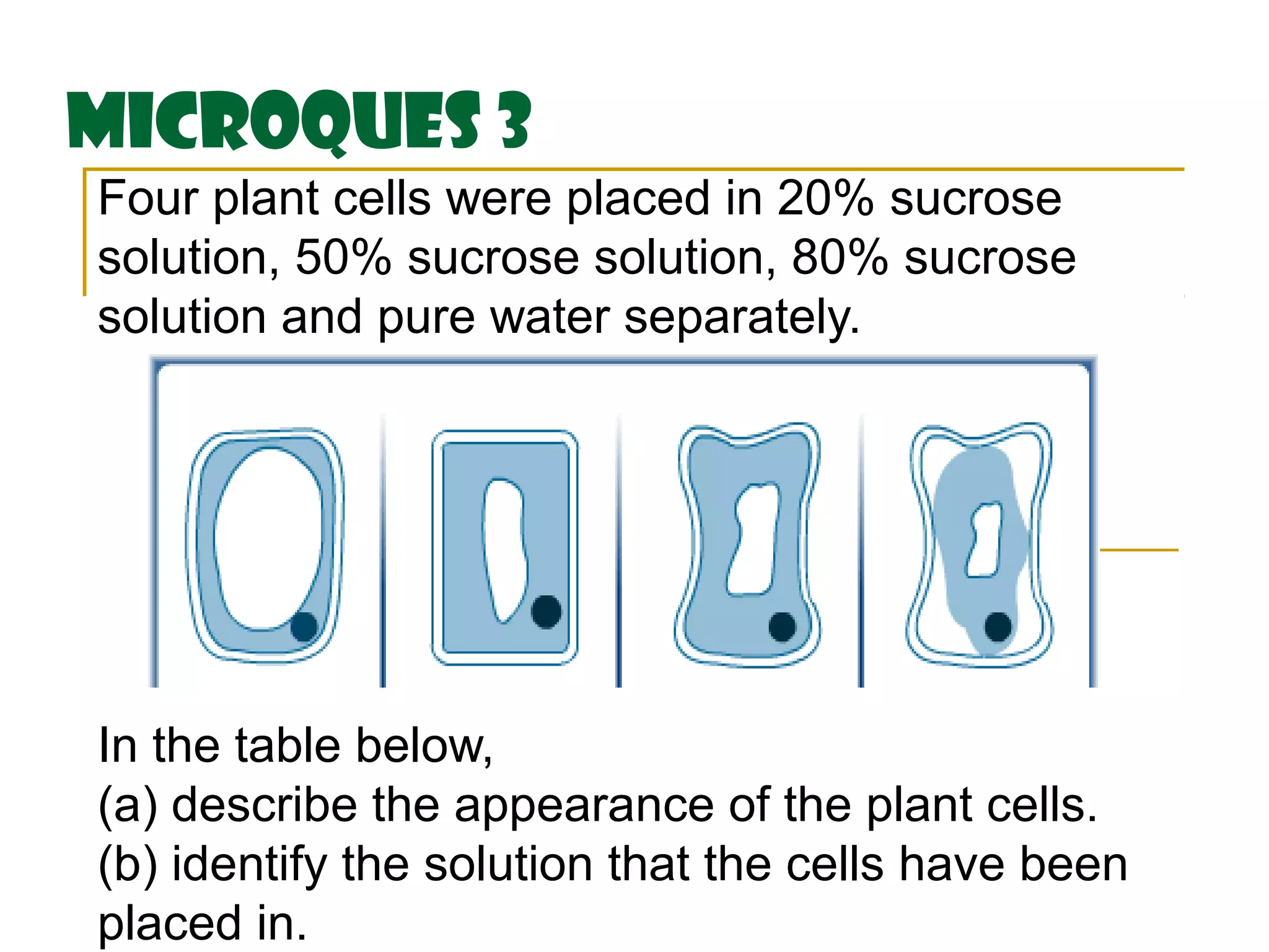 MicroQues 3
Four plant cells were placed in 20% sucrose
solution, 50% sucrose solution, 80% sucrose
solution and pure water separately.




In the table below,
(a) describe the appearance of the plant cells.
(b) identify the solution that the cells have been
placed in.
 