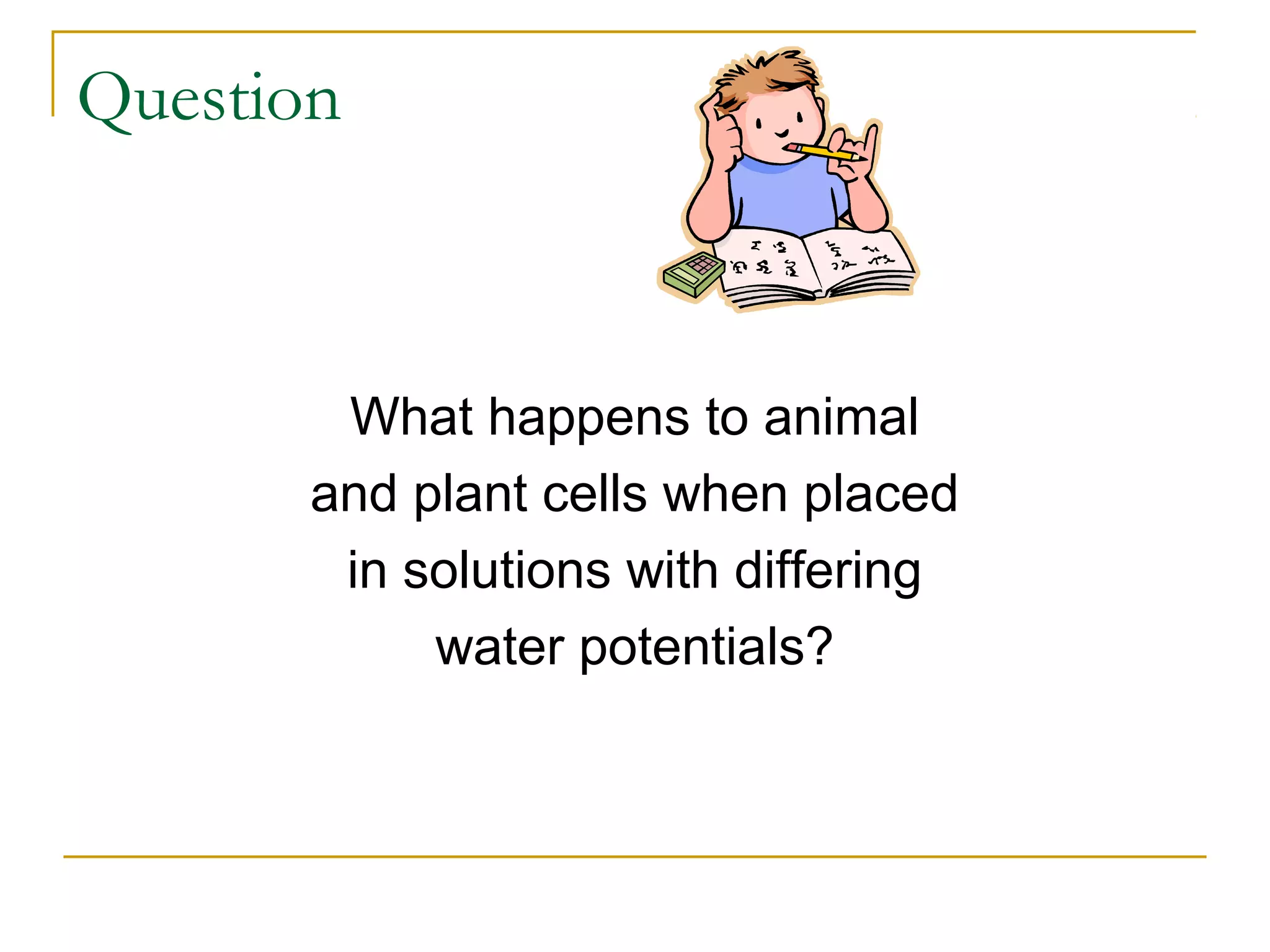 Question



        What happens to animal
       and plant cells when placed
        in solutions with differing
            water potentials?
 