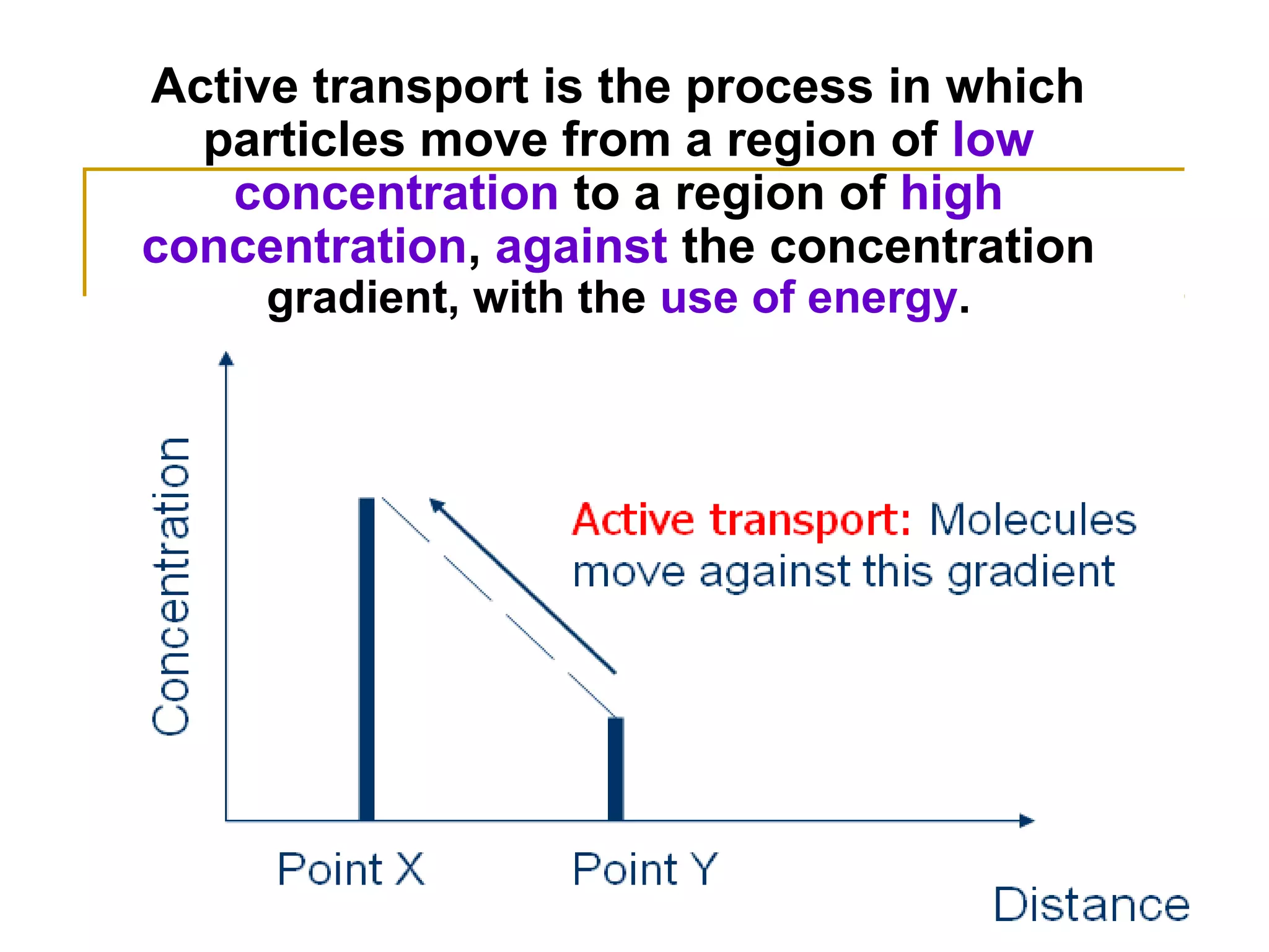 Active transport is the process in which
  particles move from a region of low
   concentration to a region of high
concentration, against the concentration
     gradient, with the use of energy.
 