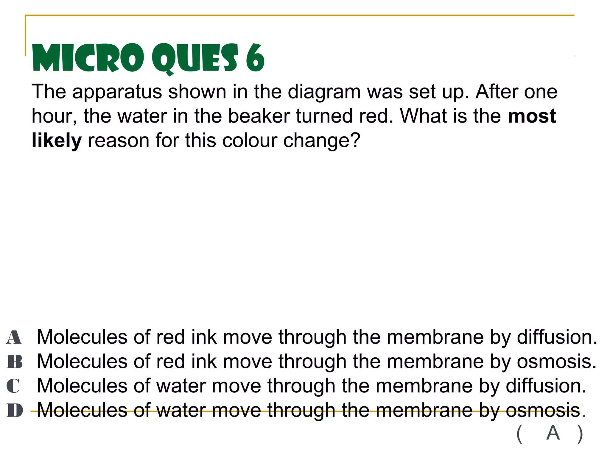 Micro Ques 6
    The apparatus shown in the diagram was set up. After one
    hour, the water in the beaker turned red. What is the most
    likely reason for this colour change?




A   Molecules of red ink move through the membrane by diffusion.
B   Molecules of red ink move through the membrane by osmosis.
C   Molecules of water move through the membrane by diffusion.
D   Molecules of water move through the membrane by osmosis.
                                                      ( A )
 