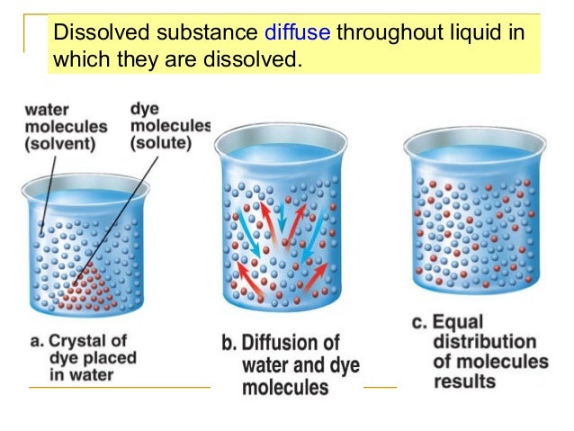 Movement Of Substances 2013