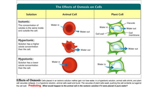 Movement of substances into and out of cells.pptx