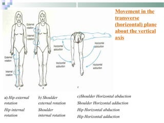 MOVEMENT in Physiotherapy Students (HIGHER EDUCATION) | PPTX