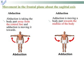 MOVEMENT in Physiotherapy Students (HIGHER EDUCATION) | PPTX