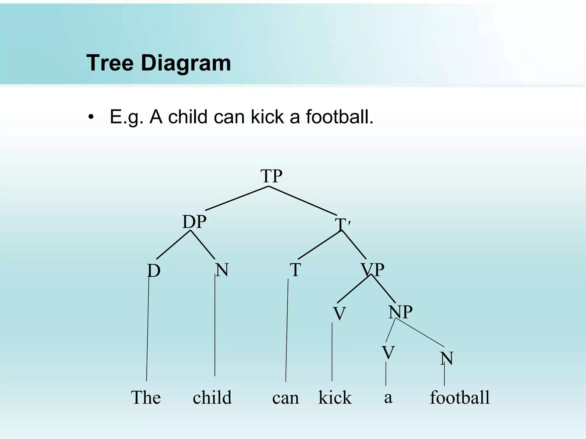 Tree Diagram
• E.g. A child can kick a football.
TP
DP T'
D N T VP
V NP
The child can kick football
NV
a
 