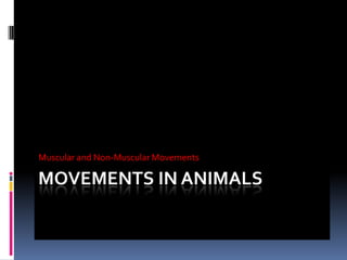 Muscular and Non-Muscular Movements

MOVEMENTS IN ANIMALS

 