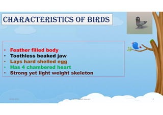 • Feather filled body
• Toothless beaked jaw
• Lays hard shelled egg
• Has 4 chambered heart
• Strong yet light weight skeleton
ChaRaCTERISTICS Of BIRDS
01-06-2021 Dr. C. Beulah Jayarani 3
 