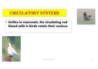 CIRCulaTORy SySTEMS
• Unlike in mammals, the circulating red
blood cells in birds retain their nucleus
01-06-2021 Dr. C. Beulah Jayarani 8
 