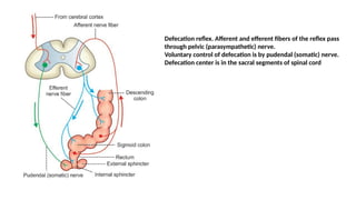 Gastro-intestinal movement in human being | PPTX