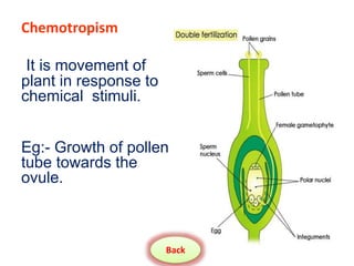 Chemotropism
It is movement of
plant in response to
chemical stimuli.
Eg:- Growth of pollen
tube towards the
ovule.
Back
 