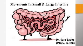 Movements In Small & Large Intestine
Dr. Sara Sadiq
(MBBS, M.Phil)
 