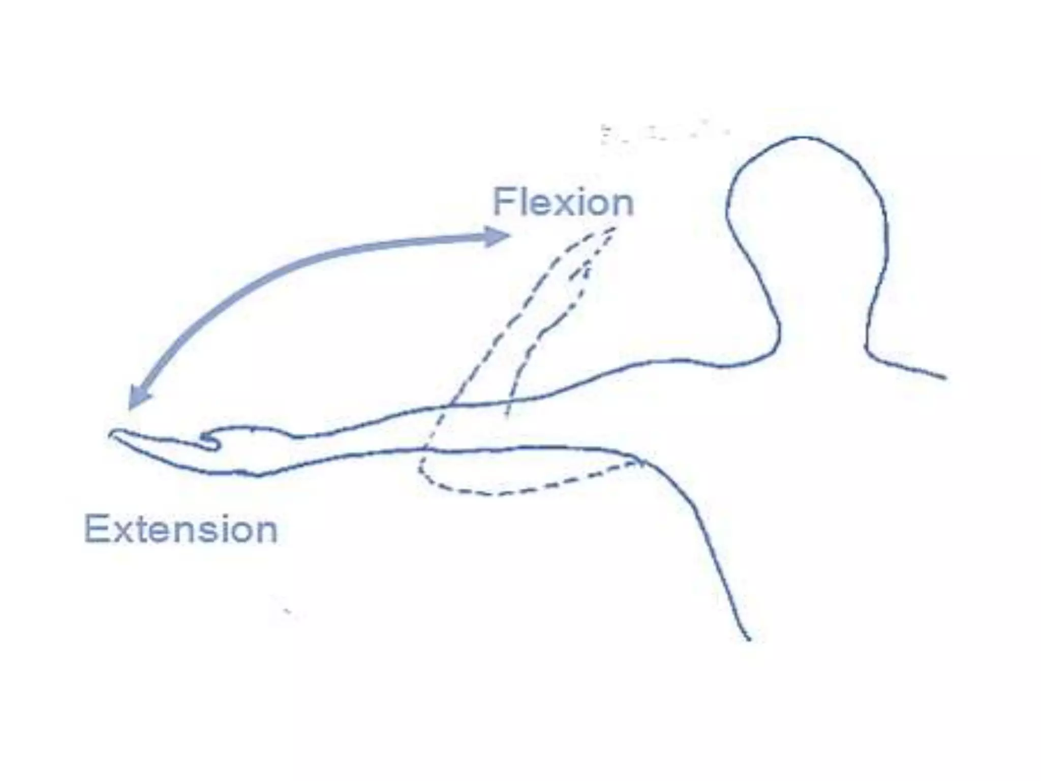 MOVEMENTS, MUSCLES and ROM of all upper and lower limb joints movements ...